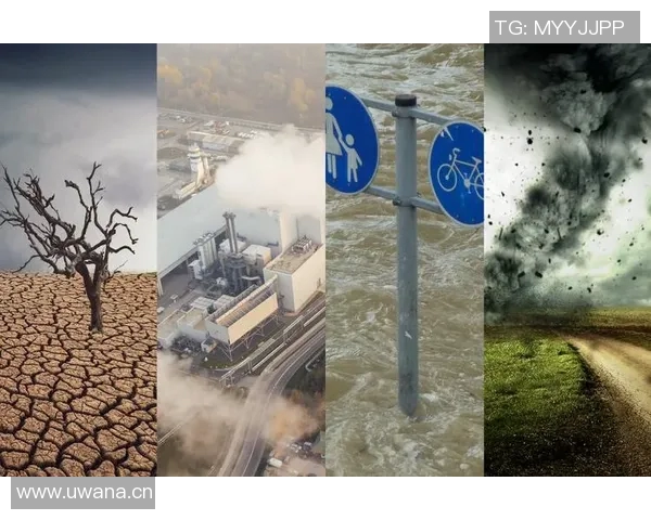 全球气候变化加剧各地极端天气现象专家呼吁加强应对措施